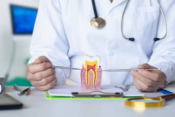 Best Orthodontic Emergency Dentist in Tehaleh, WA